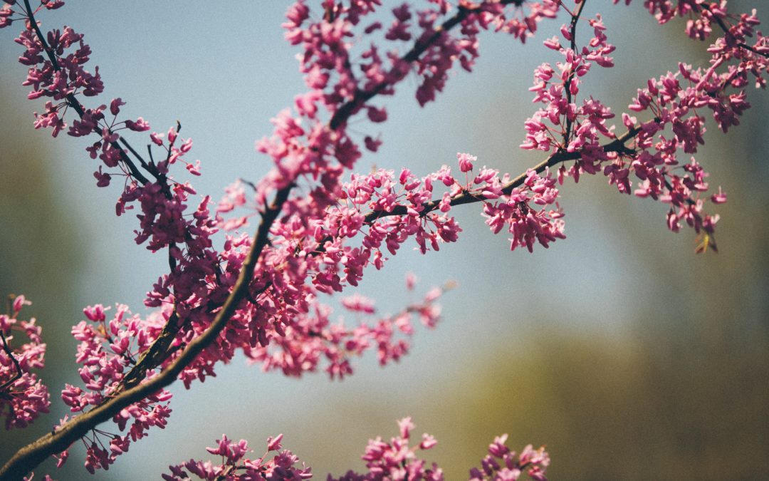 Grzecznym dziewczynkom mówimy NIE!